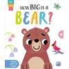 KNYGA Bookshop How Big is a Bear?