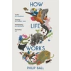 KNYGA Bookshop How Life Works
