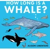 KNYGA Bookshop How Long is a Whale?