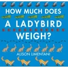 KNYGA Bookshop How Much Does a Ladybird Weigh?