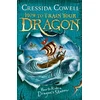 KNYGA Bookshop How to Train Your Dragon: How to Ride a Dragon's Storm