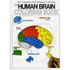 KNYGA Bookshop Human Brain Coloring Book