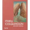 KNYGA Bookshop Ithell Colquhoun: Between Worlds