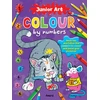 KNYGA Bookshop Junior Art Colour By Numbers: Cat