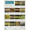 KNYGA Bookshop Key to Lichens on Twigs