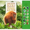 KNYGA Bookshop Little Book of Rainforest Animal Sounds