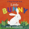 KNYGA Bookshop Little Bunny
