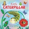 KNYGA Bookshop Little Caterpillar