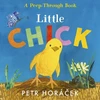 KNYGA Bookshop Little Chick