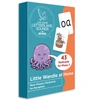 KNYGA Bookshop Little Wandle at Home More Phonics Flashcards for Reception