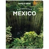 KNYGA Bookshop Lonely Planet Experience Mexico