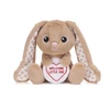 KNYGA Bookshop Love Hearts 7" Welcome Little Bunny Plush Gift