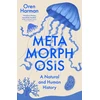 KNYGA Bookshop Metamorphosis
