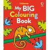 KNYGA Bookshop My Big Colouring Book