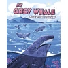 KNYGA Bookshop My Pilkas Whale Migration Journey