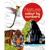 KNYGA Bookshop Nature Colour by Numbers