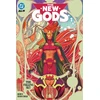 KNYGA Bookshop New Gods Vol. 1: The Falling Sky