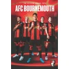 KNYGA Bookshop Official Bournemouth AFC Annual 2025