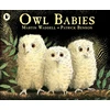 KNYGA Martin Waddell Owl Babies