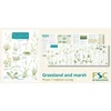 KNYGA Bookshop Plant Identification for Phase 1 Habitat Survey: Grassland and Marsh