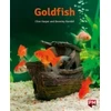 KNYGA Bookshop PM Oranžinis GOLDFISH N FIC LEV16
