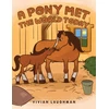 KNYGA Vivian Laughman Pony Met the World Today