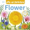 KNYGA Bookshop Pop-Up Peekaboo! Flower