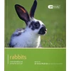 KNYGA Bookshop Rabbit - Pet Friendly