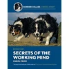KNYGA Bookshop Secrets Of The Working Mind