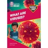 KNYGA Bookshop Shinoy and the Chaos Crew: What are viruses?