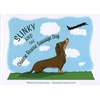 KNYGA Bookshop Slinky and the Chinese Rescue Sausage Dog