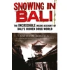 KNYGA Bookshop Snowing in Bali