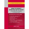 KNYGA Bookshop Straightforward Guide to What to Expect When You Go To Court
