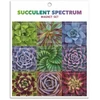 KNYGA Bookshop Succulent Spectrum Magnet Set