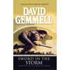KNYGA Bookshop Sword In The Storm