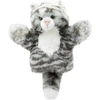 KNYGA Bookshop Tabby Cat