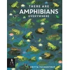 KNYGA Bookshop There Are Amphibians Everywhere
