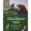 KNYGA Bookshop Tomorrow Tree