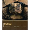 KNYGA Bookshop Tortoise - Pet Expert