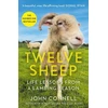 KNYGA Bookshop Twelve Sheep