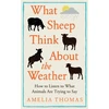 KNYGA Bookshop Thomas Amelia What Sheep Think About the Weather: How to listen to what animals are trying to say