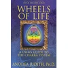 Wheels Of Life Knyga Llewellyn