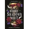 KNYGA Bookshop Where Shadows Meet