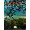KNYGA Bookshop Where the Forest Meets the Sea