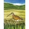 KNYGA Bookshop Wild Birds Pocket Notebook: Curlew