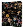 KNYGA Bookshop Wildflowers in Bloom Coloring Book
