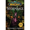 KNYGA Bookshop World of Warcraft: Stormrage