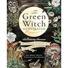 KNYGA Bookshop Žalias Witch Illustrated