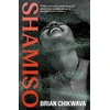 KNYGA Brian Chikwava Shamiso