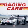 KNYGA Brian Long Porsche Racing Cars 2006 to 2023